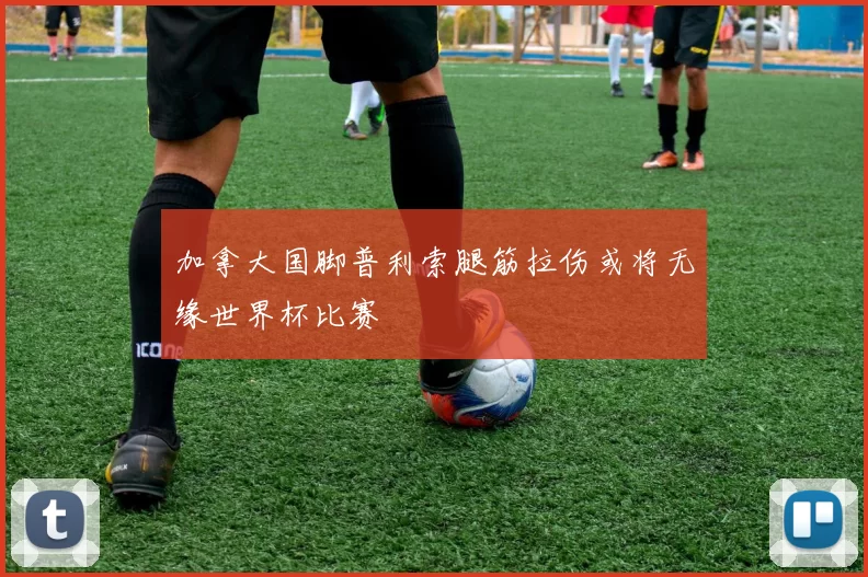 加拿大国脚普利索腿筋拉伤或将无缘世界杯比赛