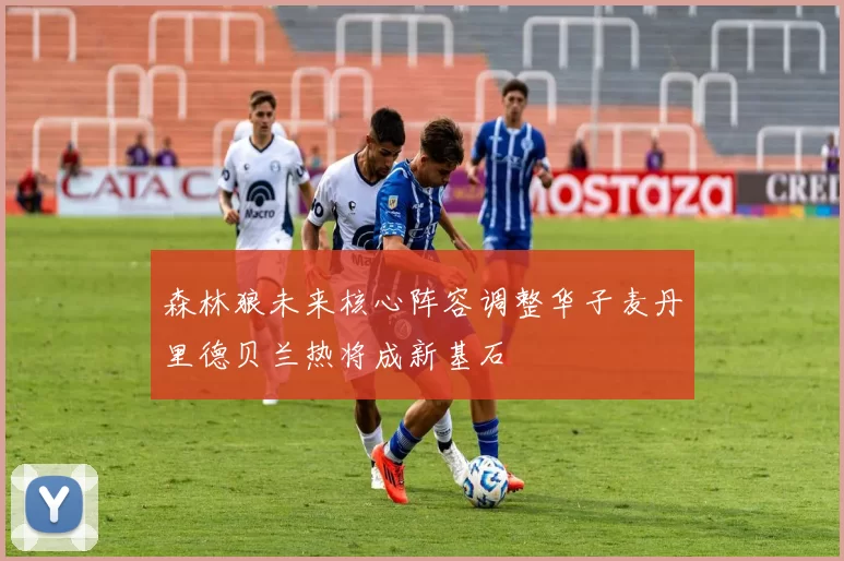 森林狼未来核心阵容调整华子麦丹里德贝兰热将成新基石