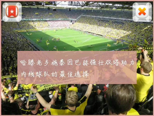 哈滕老乡施泰因巴赫强壮双塔助力内线球队的最佳选择